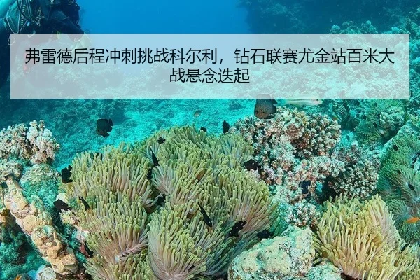 fu-lei-de-hou-cheng-chong-ci-tiao-zhan-ke-er-li-zuan-shi-lian-sai-you-jin-zhan-bai-mi-da-zhan-xuan-nian-die-qi-2-461.jpg