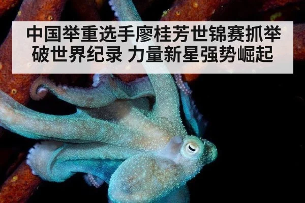 中国举重选手廖桂芳世锦赛抓举破世界纪录 力量新星强势崛起